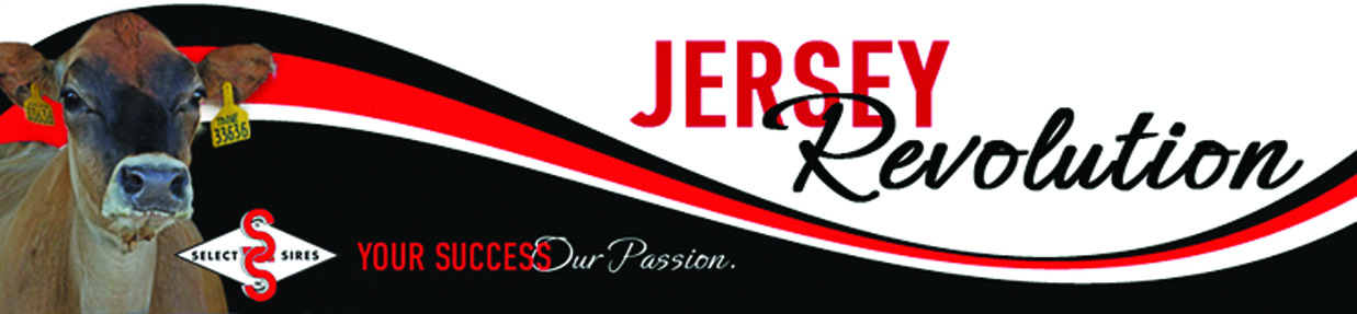 Jersey Revolution