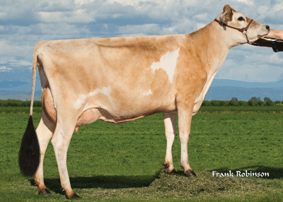 AhlemLemonheadPraise48490