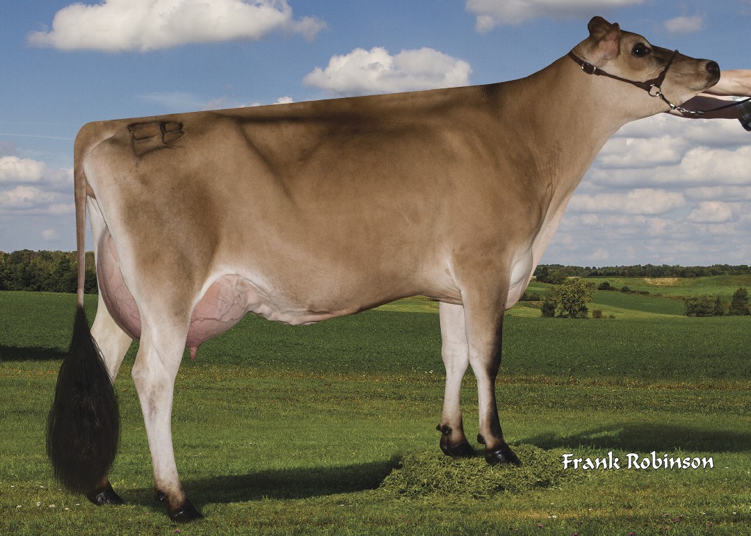 JX Faria Brothers Saint 306244 {3} (VG-86%)