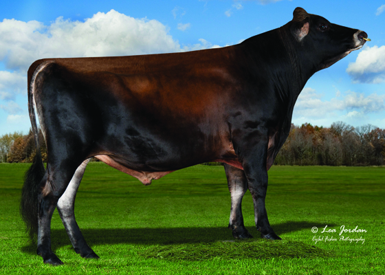 JXOakLaneAvonDancer{3}ET