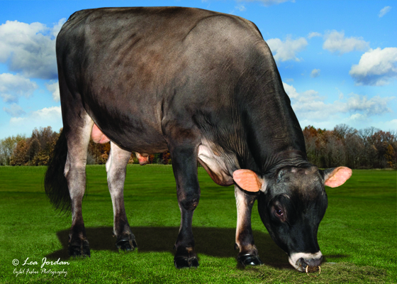 JXSpringCreekMarloStoney{3}ET