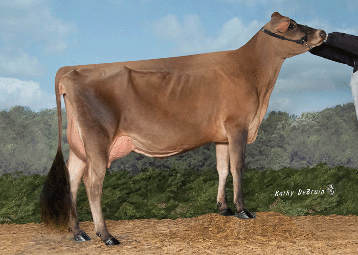 KashInBarnabas45001ET