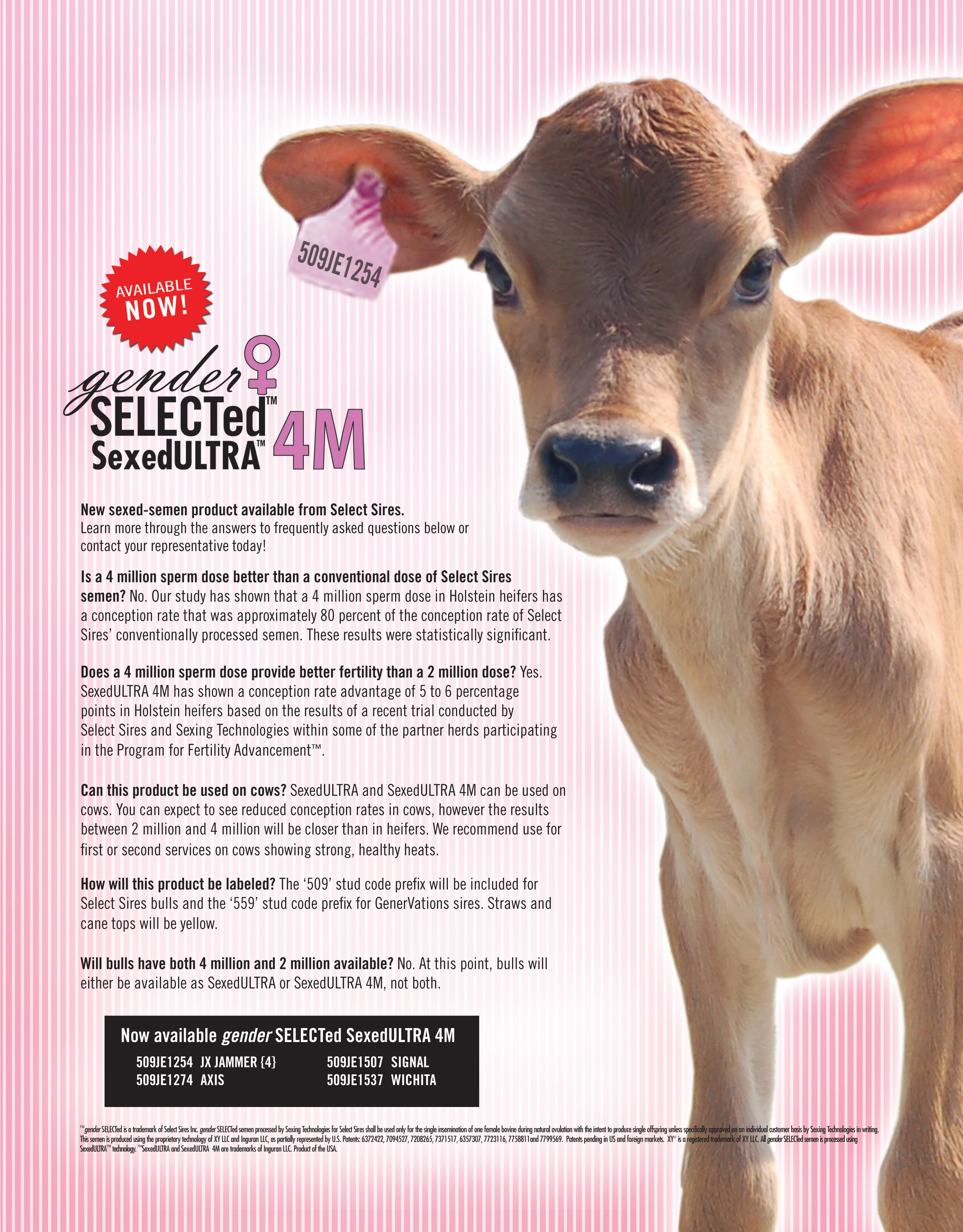 gender SELECTed SexedULTRA 4M