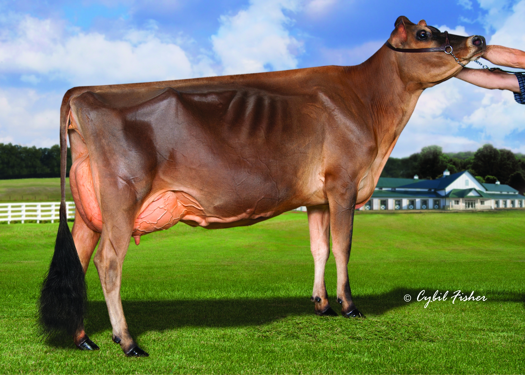 AvonleaIatolaVictoriaRSID_Full