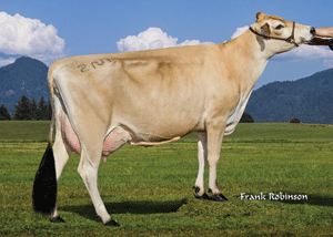 CalMartVisionaryDarsie6786