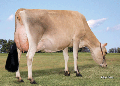 CovingtonOliverMaidP