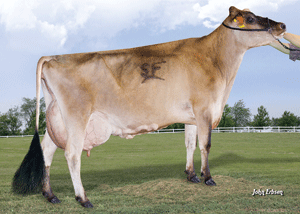 FariaBrothersActionDeanSmith