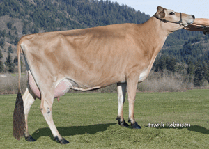 ImpulsiveMomentAtWilsonview