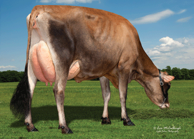 ShanMarHilarioCharlene