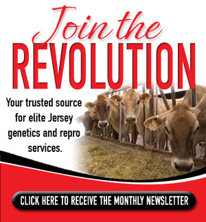 Click here to subscribe!